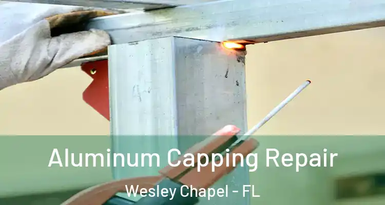  Aluminum Capping Repair Wesley Chapel - FL