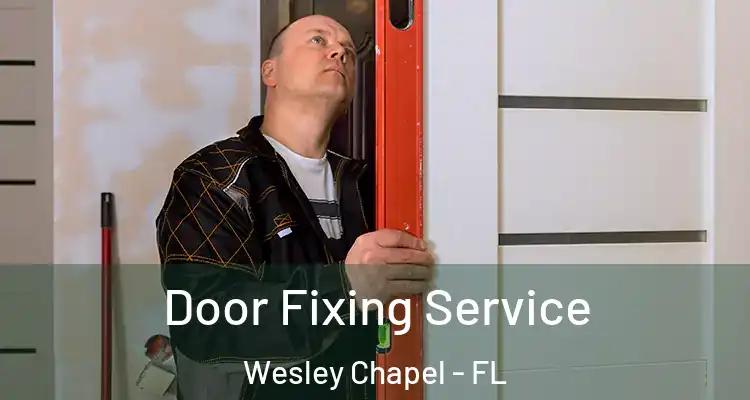  Door Fixing Service Wesley Chapel - FL