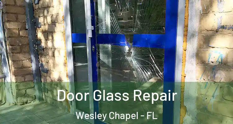  Door Glass Repair Wesley Chapel - FL