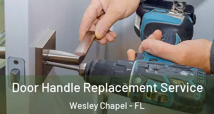 Door Handle Replacement Service Wesley Chapel - FL