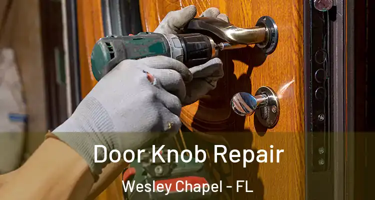 Door Knob Repair Wesley Chapel - FL