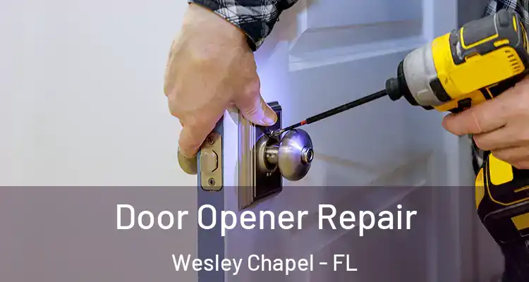  Door Opener Repair Wesley Chapel - FL