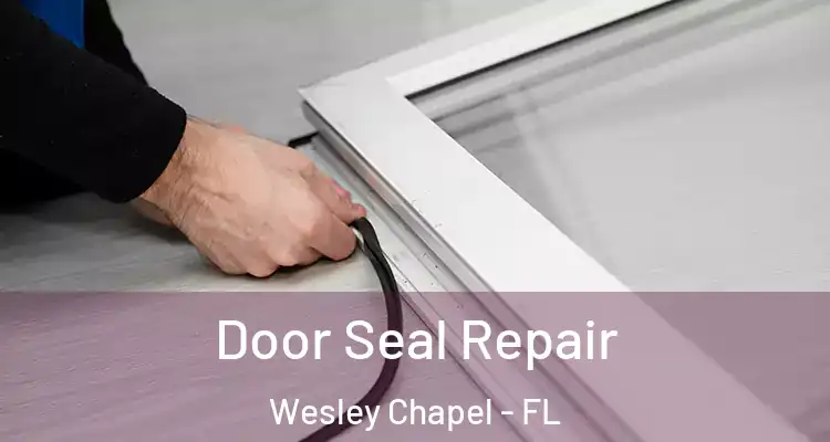  Door Seal Repair Wesley Chapel - FL