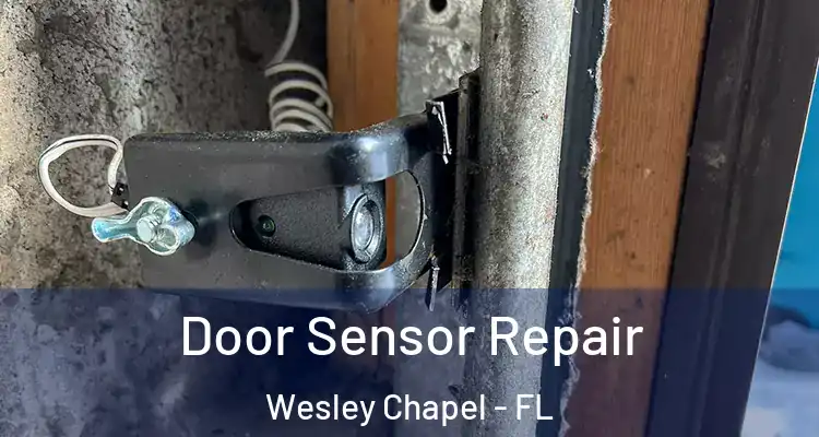  Door Sensor Repair Wesley Chapel - FL