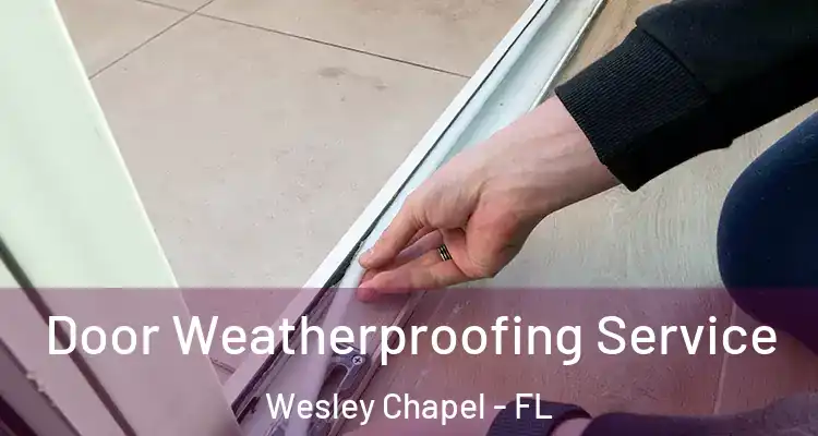  Door Weatherproofing Service Wesley Chapel - FL