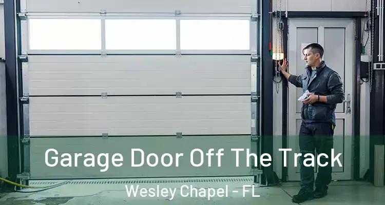  Garage Door Off The Track Wesley Chapel - FL