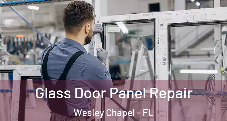  Glass Door Panel Repair Wesley Chapel - FL