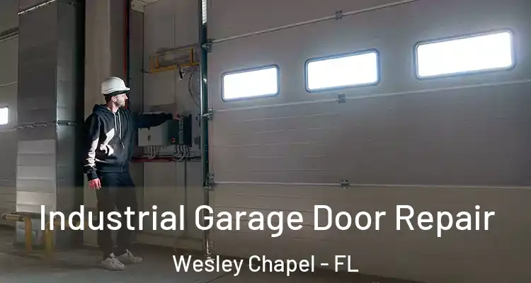  Industrial Garage Door Repair Wesley Chapel - FL