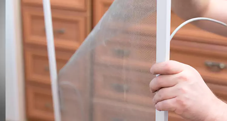 Privacy Mesh Screen Door Installation in Wesley Chapel, FL