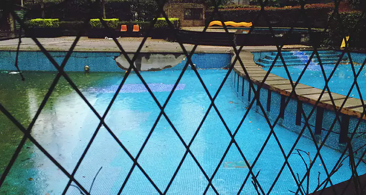 Lanai Screen Repair in Wesley Chapel, FL