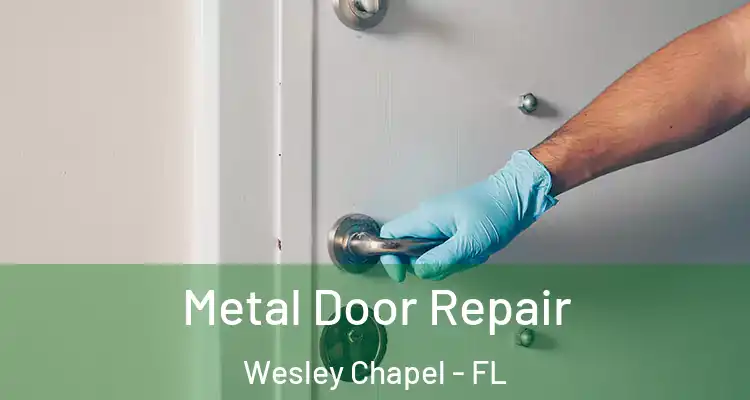  Metal Door Repair Wesley Chapel - FL