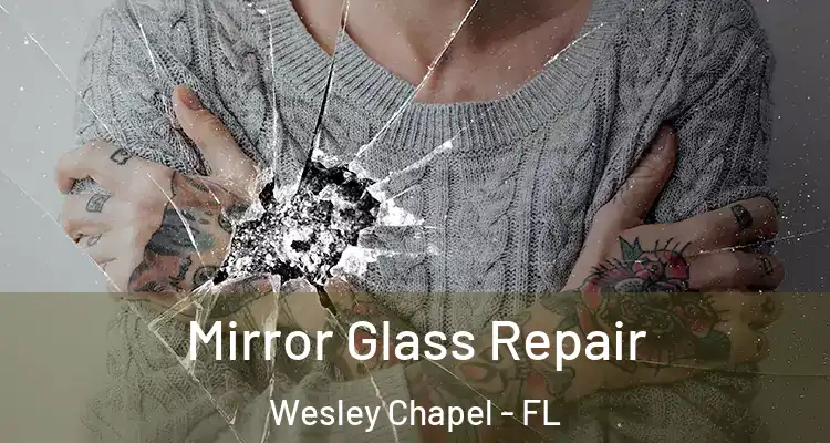  Mirror Glass Repair Wesley Chapel - FL
