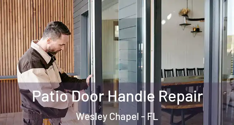  Patio Door Handle Repair Wesley Chapel - FL