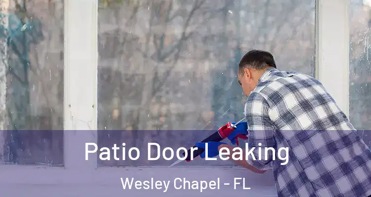  Patio Door Leaking Wesley Chapel - FL