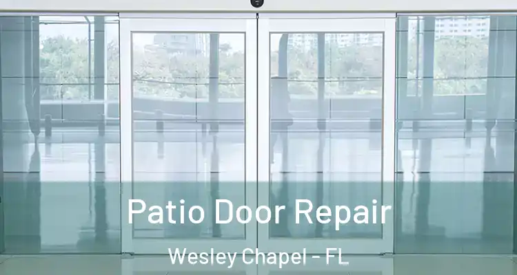  Patio Door Repair Wesley Chapel - FL