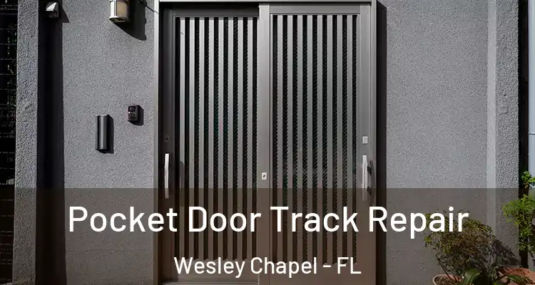  Pocket Door Track Repair Wesley Chapel - FL