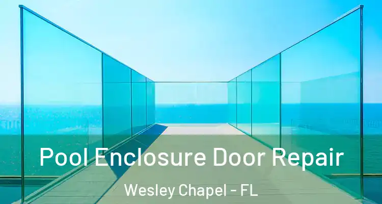  Pool Enclosure Door Repair Wesley Chapel - FL
