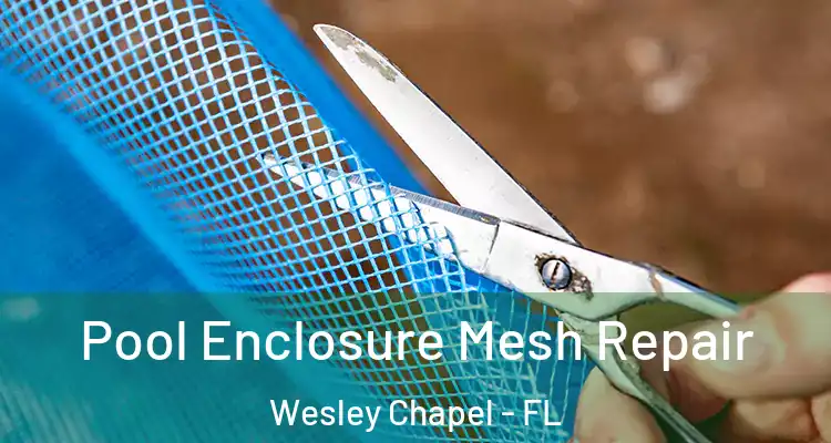  Pool Enclosure Mesh Repair Wesley Chapel - FL