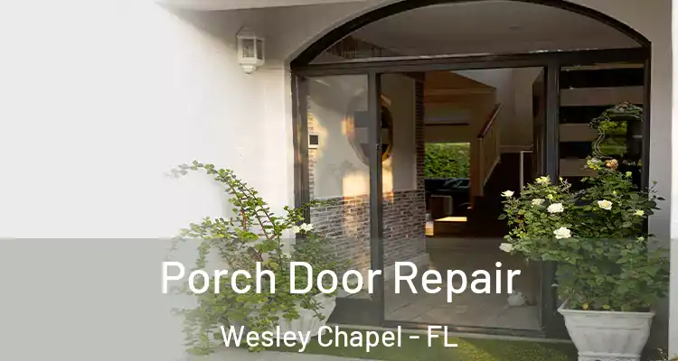  Porch Door Repair Wesley Chapel - FL