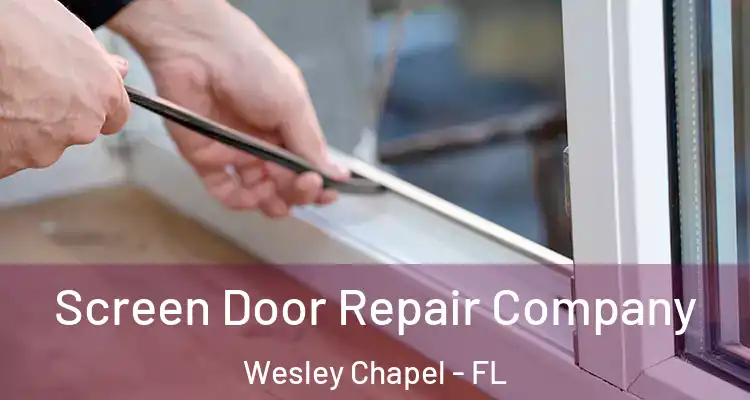  Screen Door Repair Company Wesley Chapel - FL