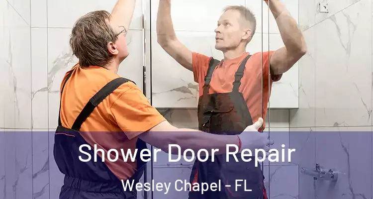  Shower Door Repair Wesley Chapel - FL