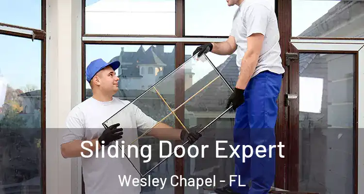  Sliding Door Expert Wesley Chapel - FL