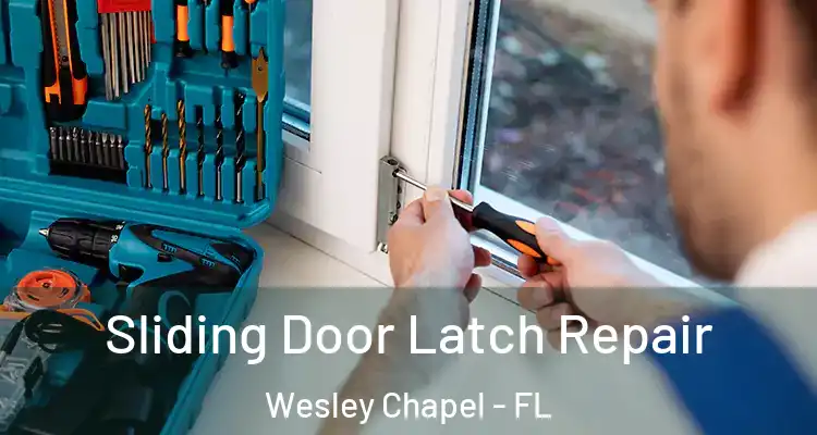  Sliding Door Latch Repair Wesley Chapel - FL