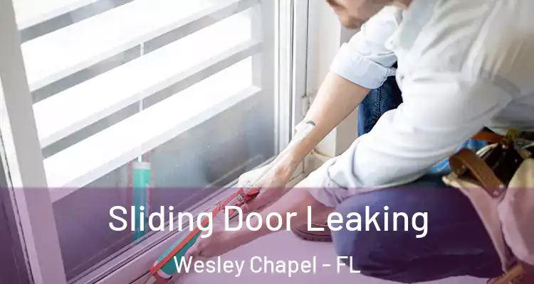  Sliding Door Leaking Wesley Chapel - FL