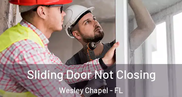  Sliding Door Not Closing Wesley Chapel - FL