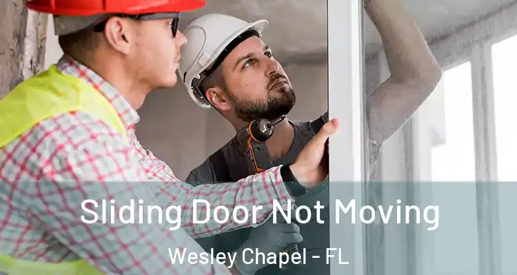  Sliding Door Not Moving Wesley Chapel - FL