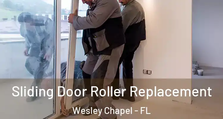  Sliding Door Roller Replacement Wesley Chapel - FL