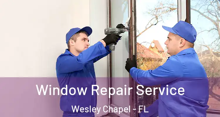  Window Repair Service Wesley Chapel - FL