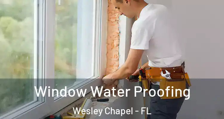  Window Water Proofing Wesley Chapel - FL